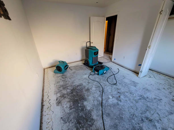 Best Professional water damage repair  in Dyer, TN
