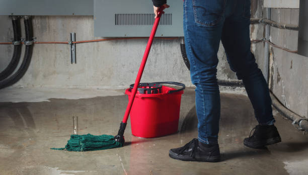 Best Water damage cleanup near me  in Dyer, TN