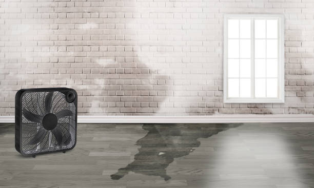 Best Residential water damage restoration  in Dyer, TN