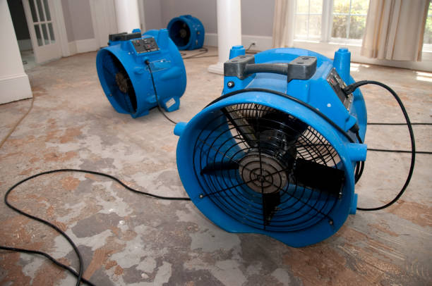 Best 24/7 water damage repair  in Dyer, TN