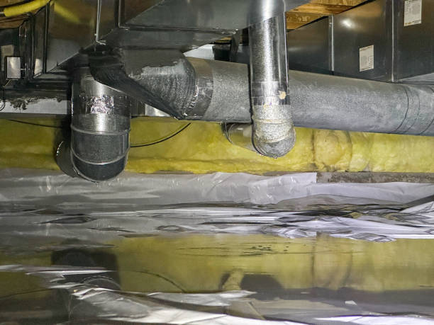 Best Water damage restoration near me  in Dyer, TN